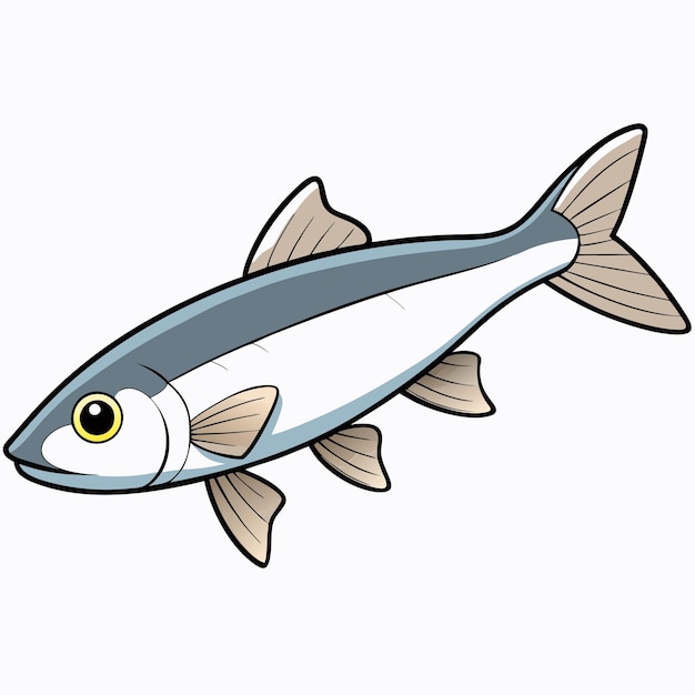 Ilustración vectorial plana aislada de peces minnow en fondo blanco