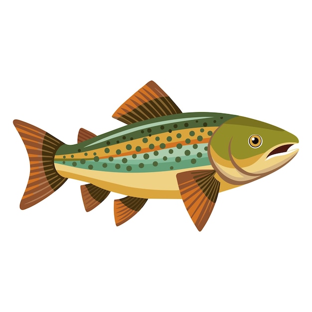 Vector ilustración vectorial plana aislada de peces trucha sobre fondo blanco