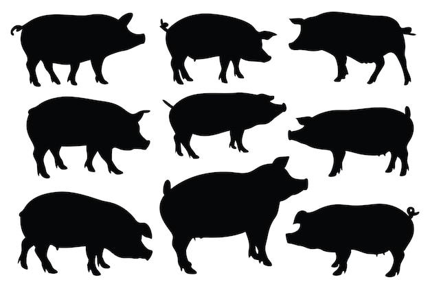 Ilustración vectorial plana aislada de siluetas de cerdo de cerdo en fondo blanco