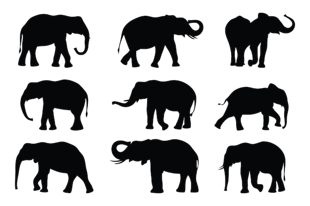 Ilustración vectorial plana aislada de siluetas de elefantes en un fondo blanco