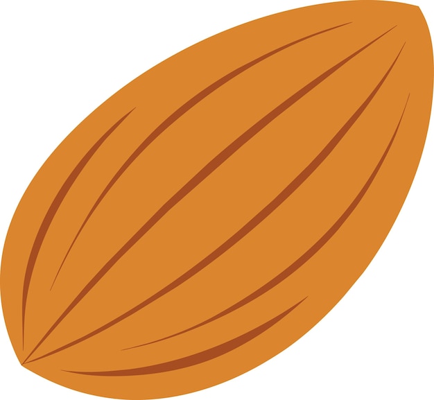 Ilustración vectorial plana de almendra dibujada a mano
