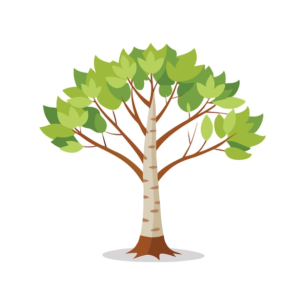Ilustración vectorial plana del árbol de abedul sobre un fondo blanco