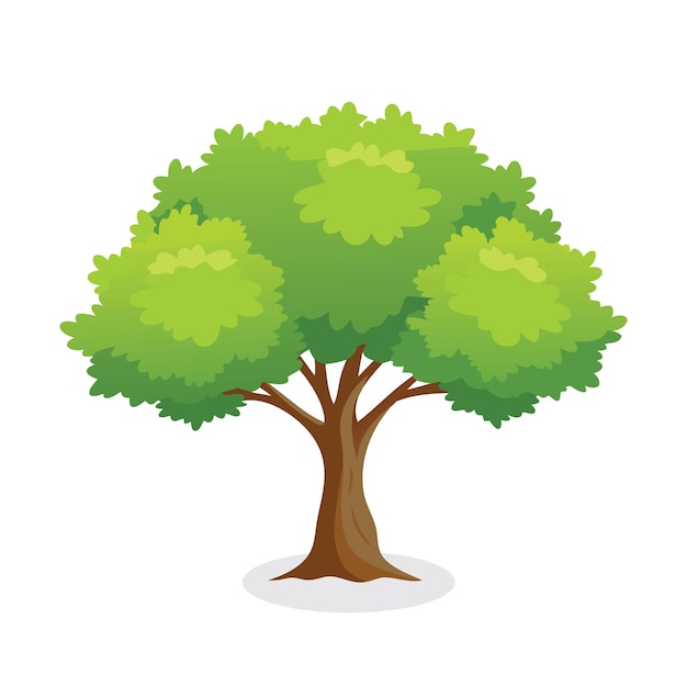 Ilustración vectorial plana de árbol de álamos en fondo blanco