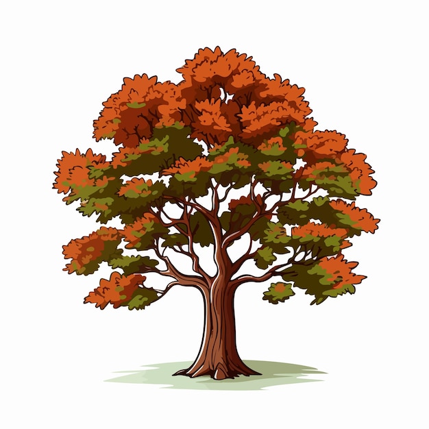 Ilustración vectorial plana del árbol de arce Ilustración vectoria aislada del dibujo a mano del dibujo animado del arce