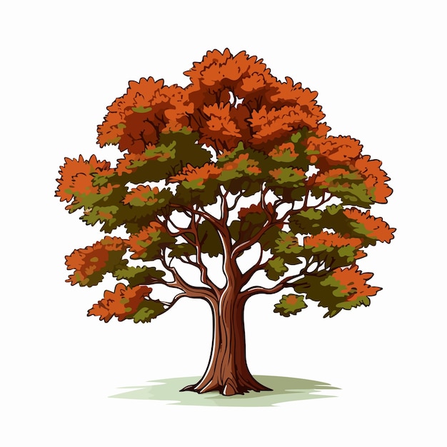 Vector ilustración vectorial plana del árbol de arce ilustración vectoria aislada del dibujo a mano del dibujo animado del arce