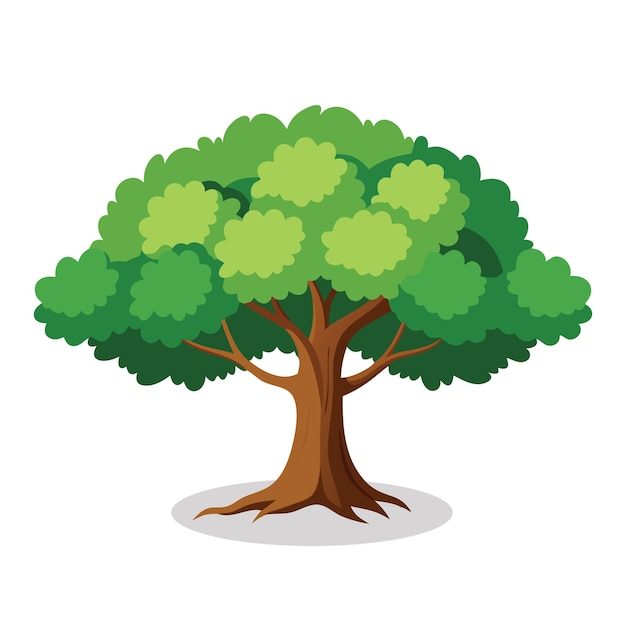 Ilustración vectorial plana de árbol de roble sobre un fondo blanco