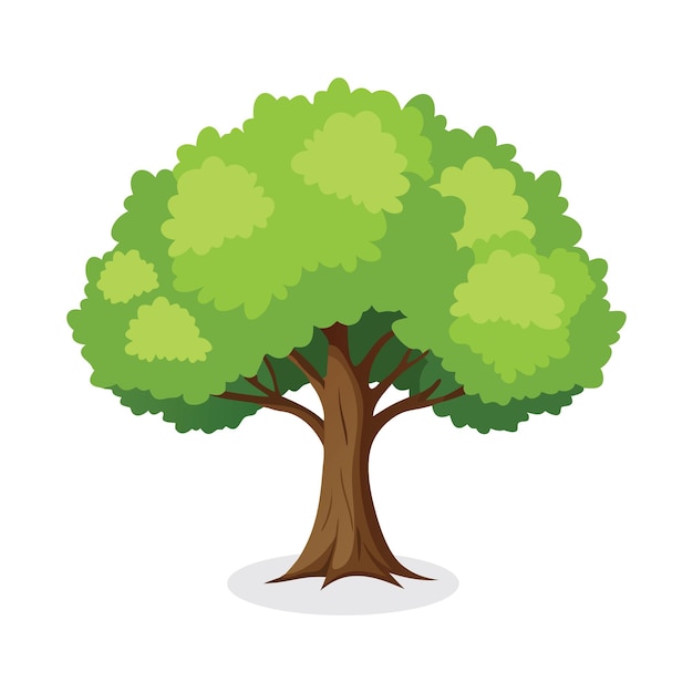 Ilustración vectorial plana de árbol de tilo sobre fondo blanco