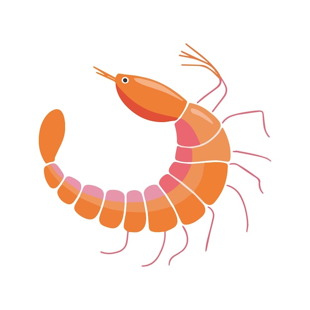 Ilustración vectorial plana de un camarón con cuerpo curvo liso de color rosa naranja líneas mínimas para las piernas y antenas diseño moderno simple fondo blanco