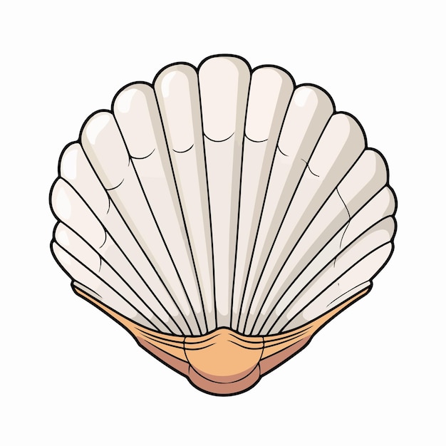 Ilustración vectorial plana de conchas marinas Dibujo a mano de dibujos animados de conchas Marinas Ilustración vectoria aislada