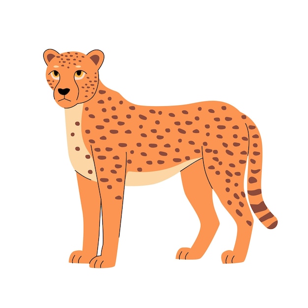 Ilustración vectorial plana de un guepardo con un pelaje naranja manchas oscuras y una cola a rayas limpias y
