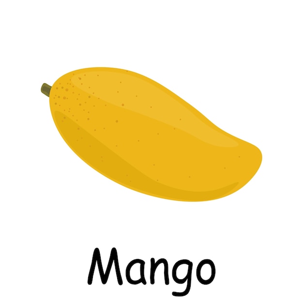 Vector ilustración vectorial plana de mango aislada en fondo blanco tarjetas flash de frutas al estilo de dibujos animados