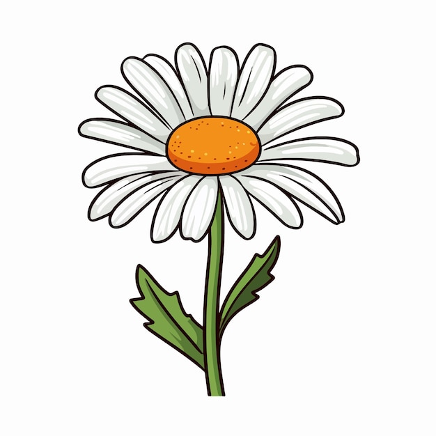Ilustración vectorial plana de margaritas Ilustración vectoria aislada de dibujos animados de margaritas dibujados a mano
