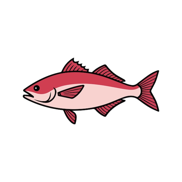Ilustración vectorial plana de un pargo con cuerpo rosado rojizo aletas angulares diseño minimalista elegante estética moderna limpia