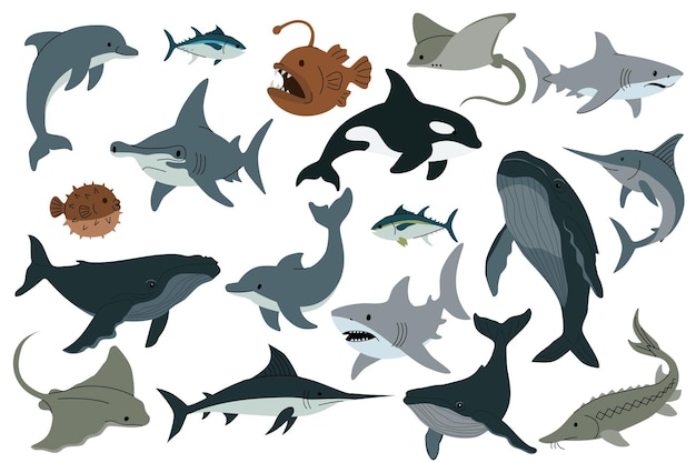 Ilustración vectorial plana de varios animales marinos, incluidos tiburones, delfines, ballenas, rayas y peces espada.