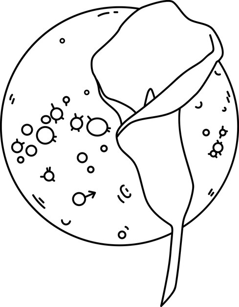 Ilustración vectorial del planeta Marte con flores de lirio de cala. Astrología SVG esquema composición impresión