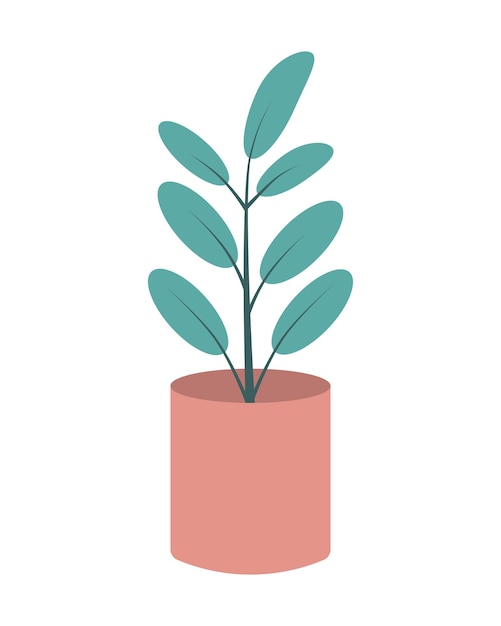 Ilustración vectorial de la planta de la casa ficus en maceta rosa aislada sobre fondo blanco