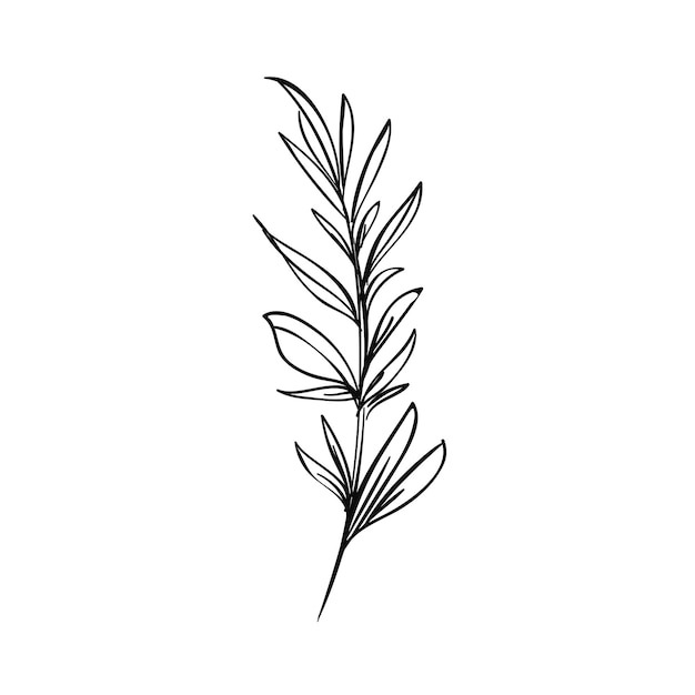 ilustración vectorial de planta sobre fondo blanco