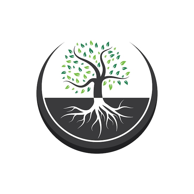 Ilustración vectorial de la plantilla del logotipo del árbol y la raíz