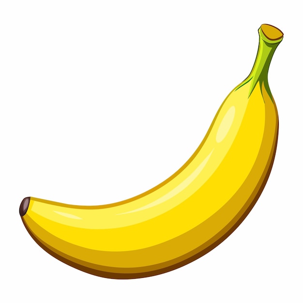Ilustración vectorial de plátano 15