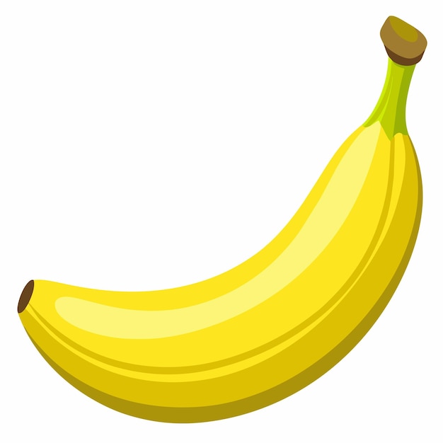 Ilustración vectorial de plátano 3