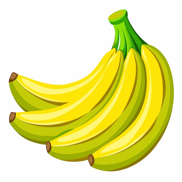 Ilustración vectorial de plátano 7