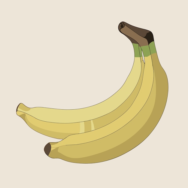 Vector ilustración vectorial de un plátano de estilo plano ilustración vectorial de un plátano