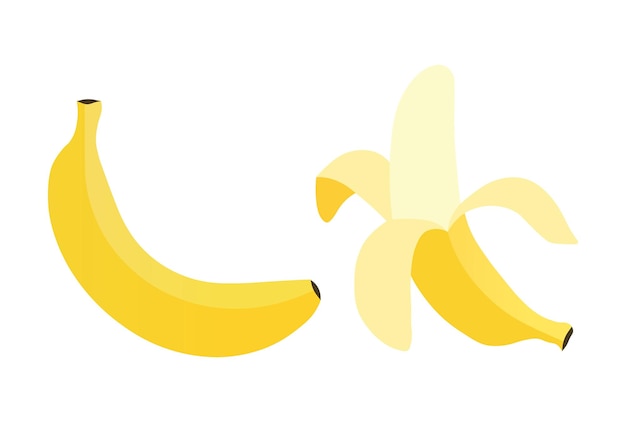 Ilustración vectorial de los plátanos amarillos