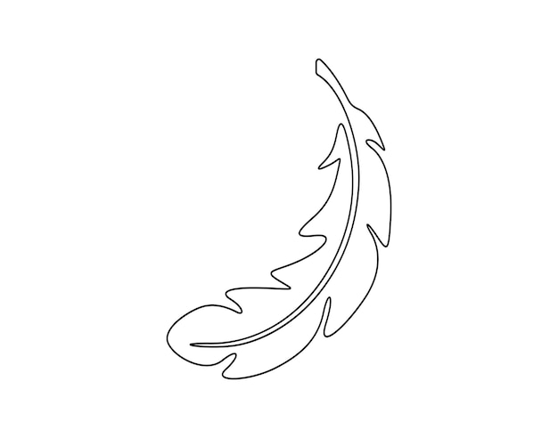 Ilustración vectorial de una pluma de pájaro en una línea continua
