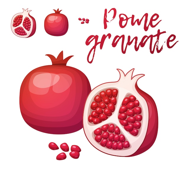 Ilustración vectorial de la pomeranata de dibujos animados el icono de la fruta de la pomeranata aislado en un fondo blanco