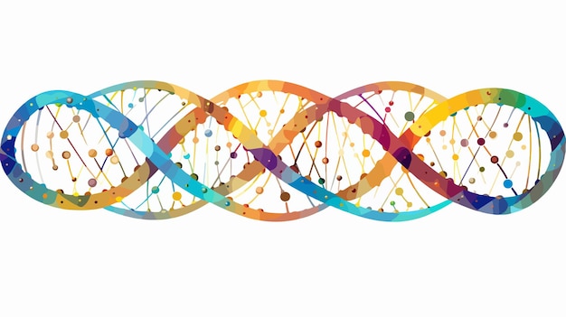 Ilustración vectorial de la proporción dorada del ADN
