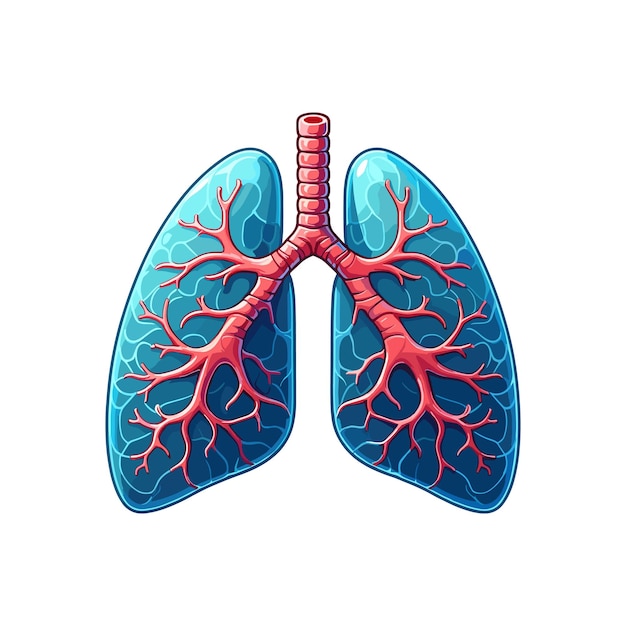 Vector ilustración vectorial de los pulmones