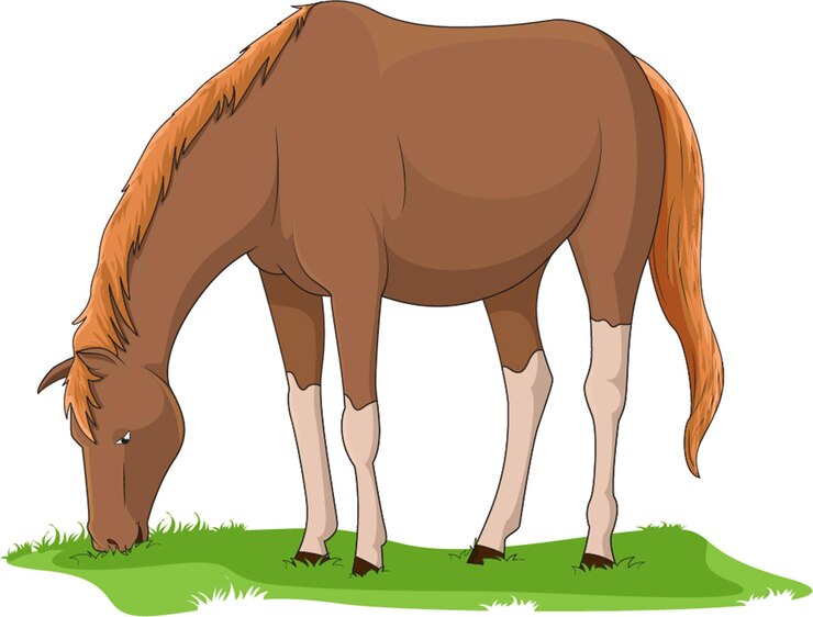 Vector ilustración vectorial que muestra un caballo comiendo hierba en un fondo aislado