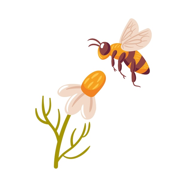 Una ilustración vectorial que representa a una abeja en pleno vuelo acercándose con gracia a una vibrante escena de margaritas