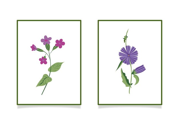 Ilustración vectorial que representa flores silvestres Achicoria y pulmonaria