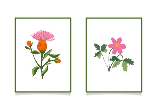 Ilustración vectorial que representa flores silvestres anémona y aciano