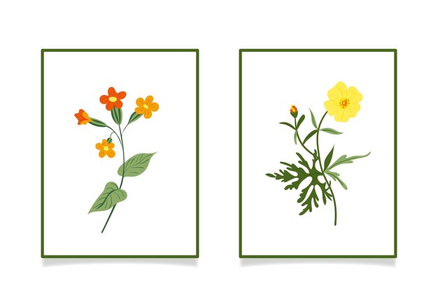 Ilustración vectorial que representa flores silvestres pulmonaria y botón de oro