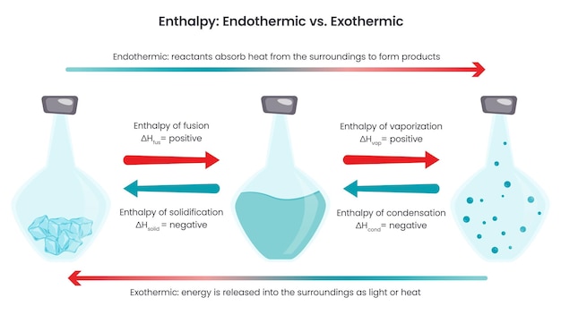 Ilustración vectorial de la química de las reacciones endotérmicas versus exotémicas de entalpia