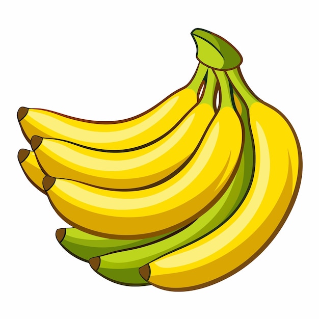 Ilustración vectorial del racimo de plátano maduro