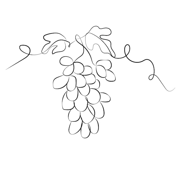 Ilustración vectorial de racimo de uva arte lineal abstracto uvas negras y blancas