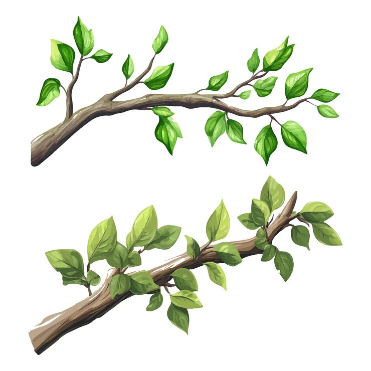 Ilustración vectorial de una rama de árbol de dibujos animados con hojas verdes sobre un fondo blanco