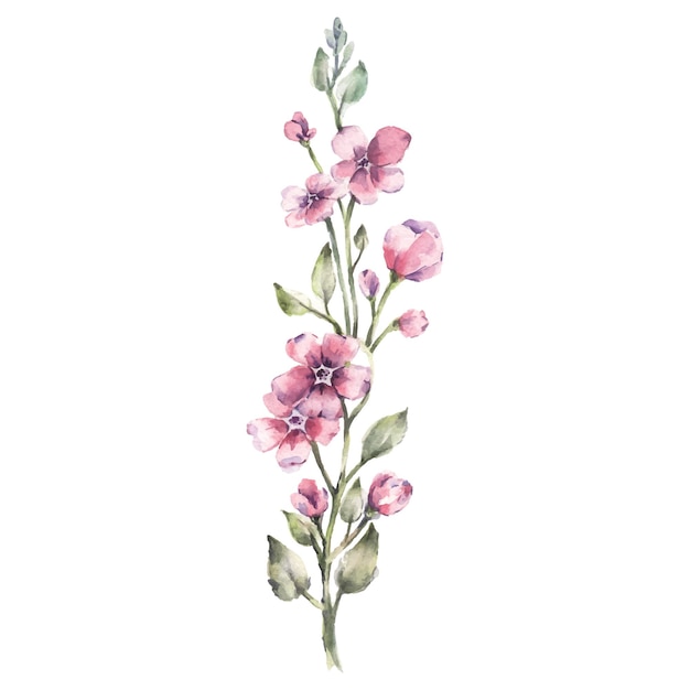 Ilustración vectorial de ramas en flor de acuarela dibujada a mano Flores de primavera en blanco
