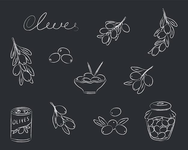 Ilustración vectorial con ramas de oliva aceitunas en un frasco aceitunas enlatadas y aceitunas en un plato