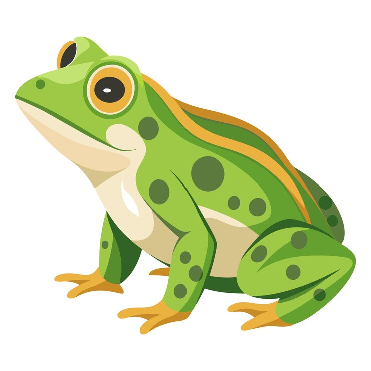 Vector ilustración vectorial de ranas sobre un fondo blanco