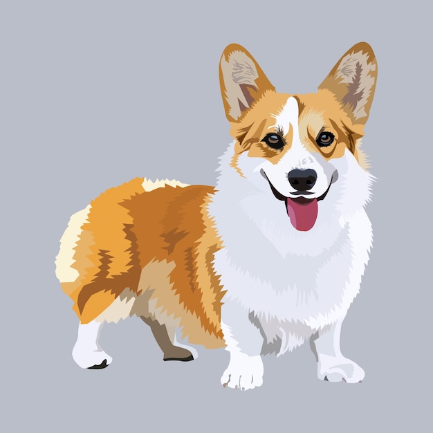 Vector ilustración vectorial raza de perro corgi galés de pembroke