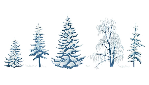 Ilustración vectorial realista de un abeto en la nieve sobre un fondo blanco Escena navideña