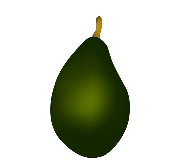 Ilustración vectorial realista del aguacate verde