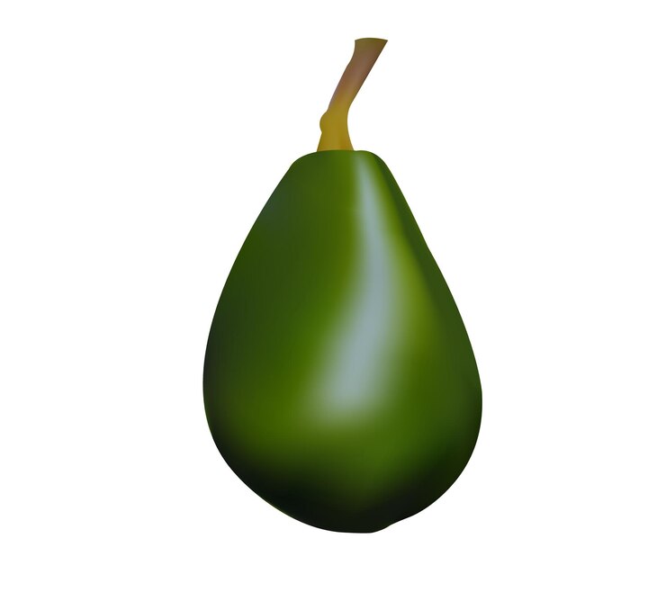 Vector ilustración vectorial realista del aguacate verde
