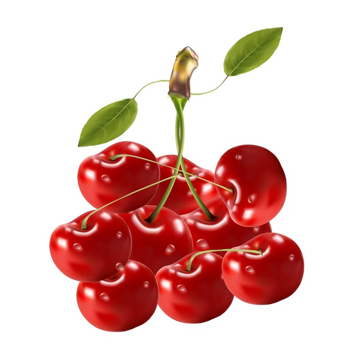 Vector ilustración vectorial realista de cerezas rojas con hojas maduras en un fondo en blanco
