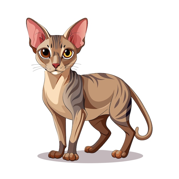 Ilustración vectorial realista de un gato mascota muy popular