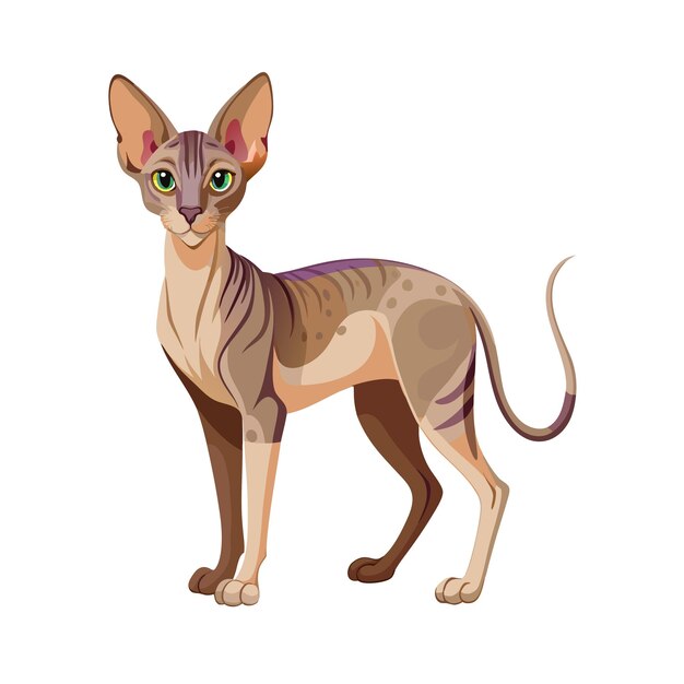 Ilustración vectorial realista de un gato mascota muy popular